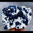 specimen video