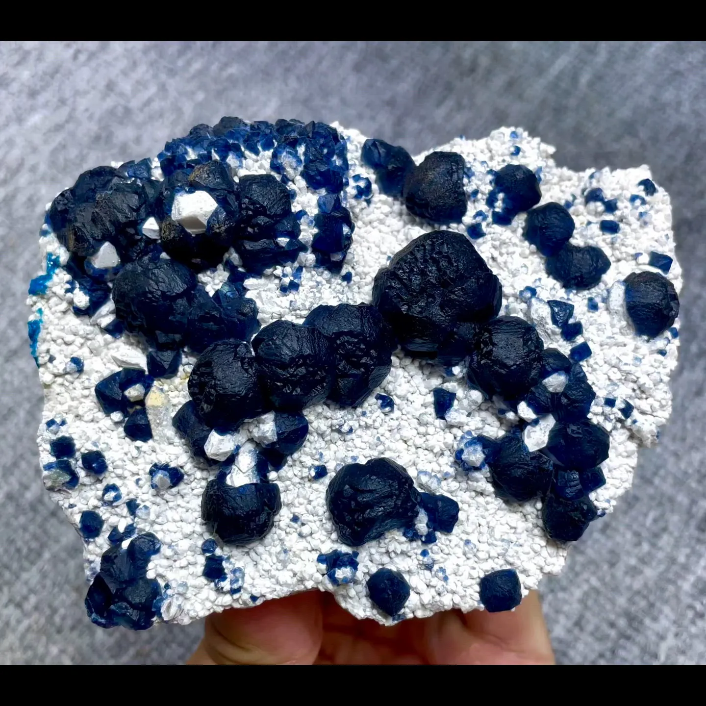specimen video