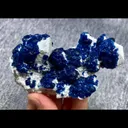 specimen video