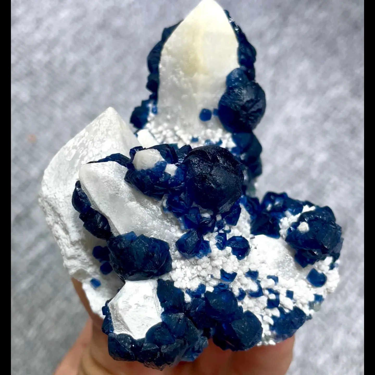 specimen video