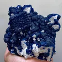 specimen video
