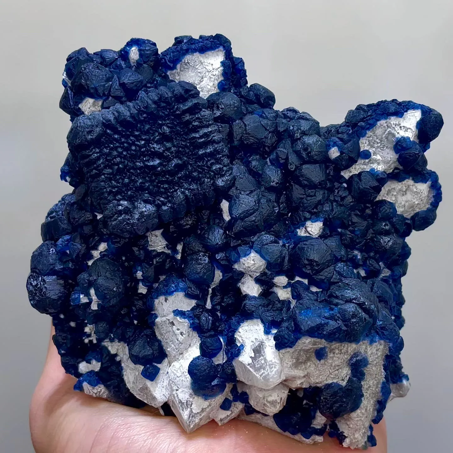 specimen video