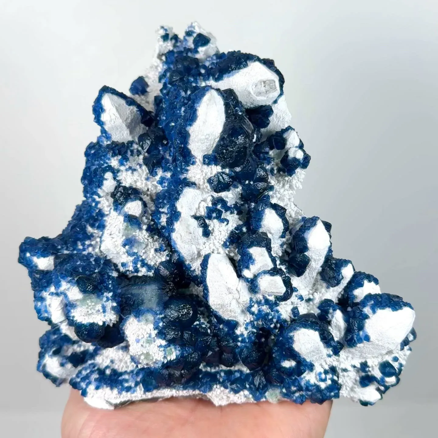 specimen video
