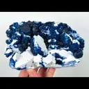 specimen video