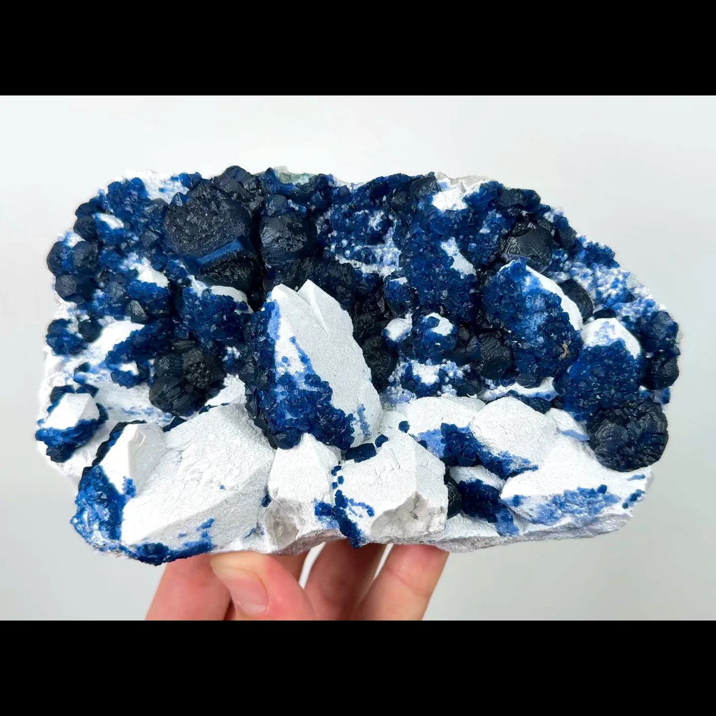 specimen video