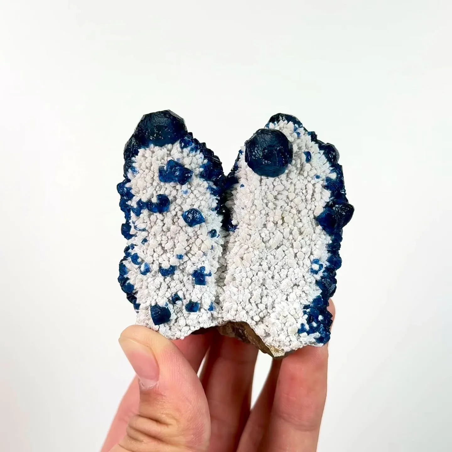 specimen video