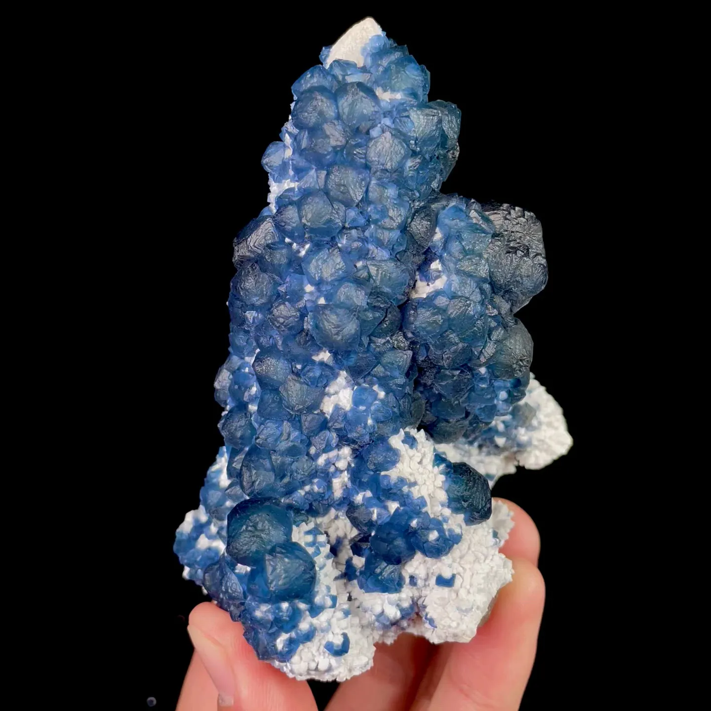 specimen video