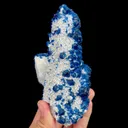 specimen video