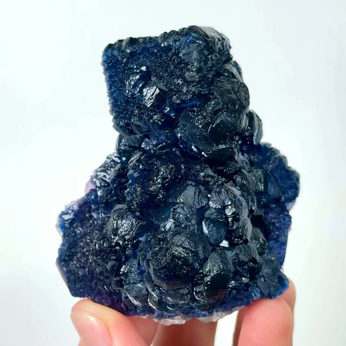 specimen video