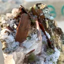 Natural Brookite Cluster with Chlorite Quartz on Matrix from Pakistan - image 6