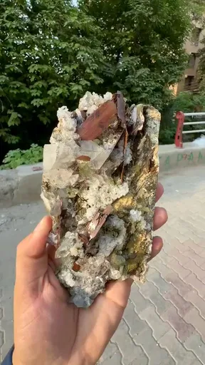 specimen video