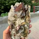 specimen video