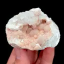 specimen video