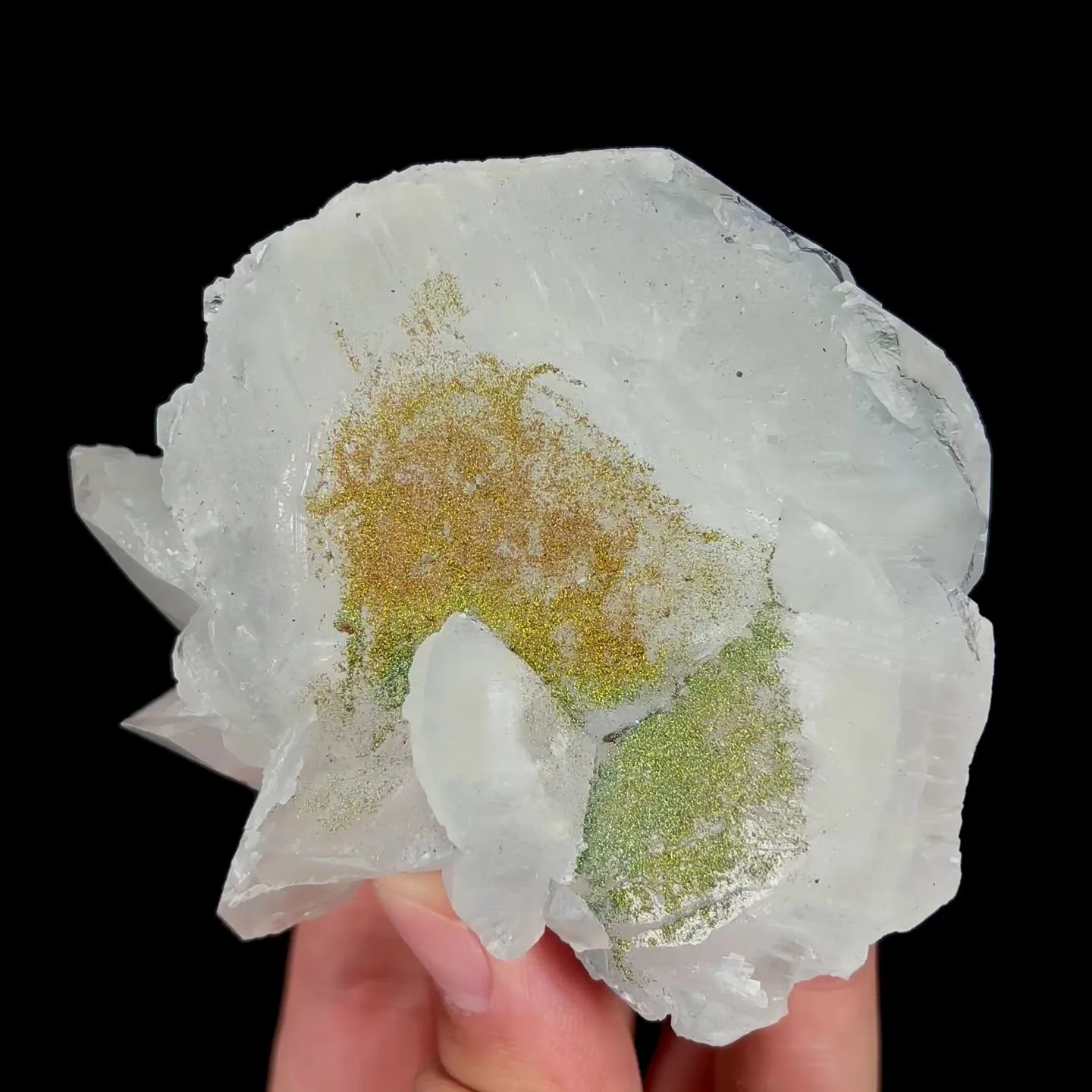 specimen video