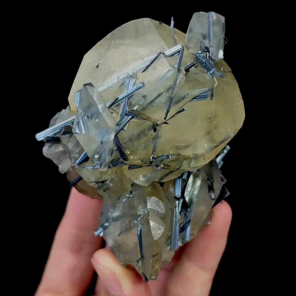 specimen video