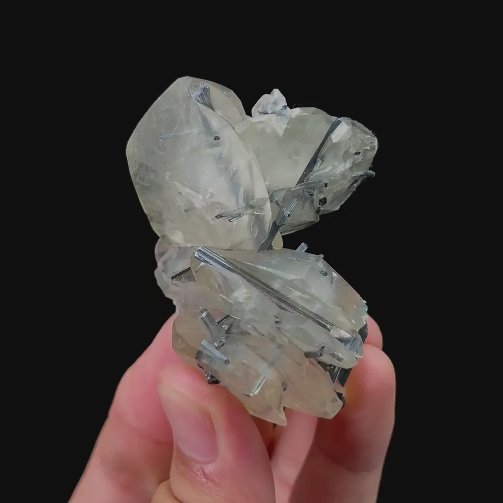 specimen video