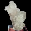 specimen video