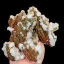 specimen video