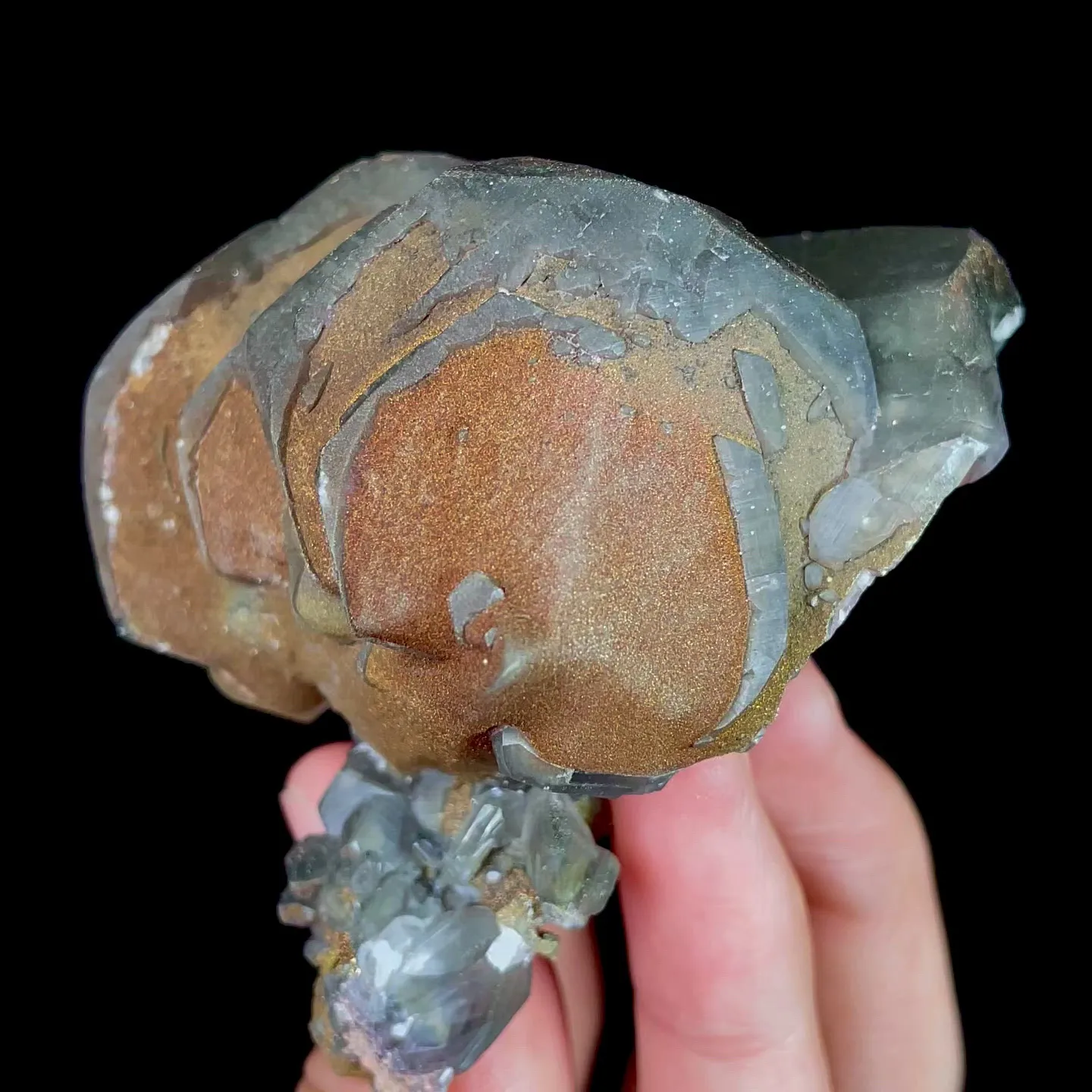 specimen video