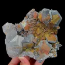specimen video