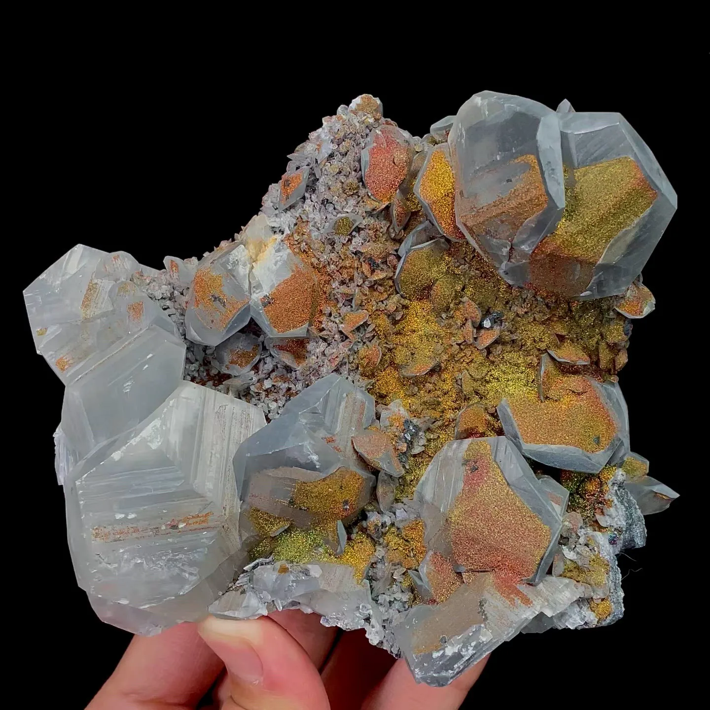 specimen video
