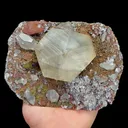 Natural Calcite and Colored Pyrite, Mineral Specimen:Fujian,China (145*110*60MM) - image 5