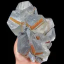 specimen video