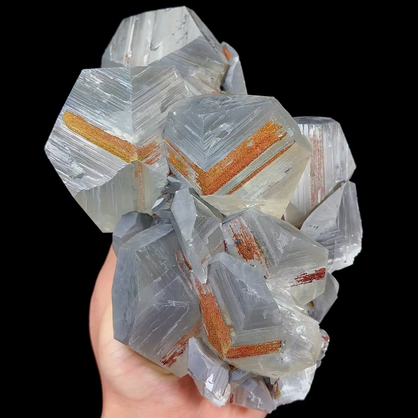 specimen video