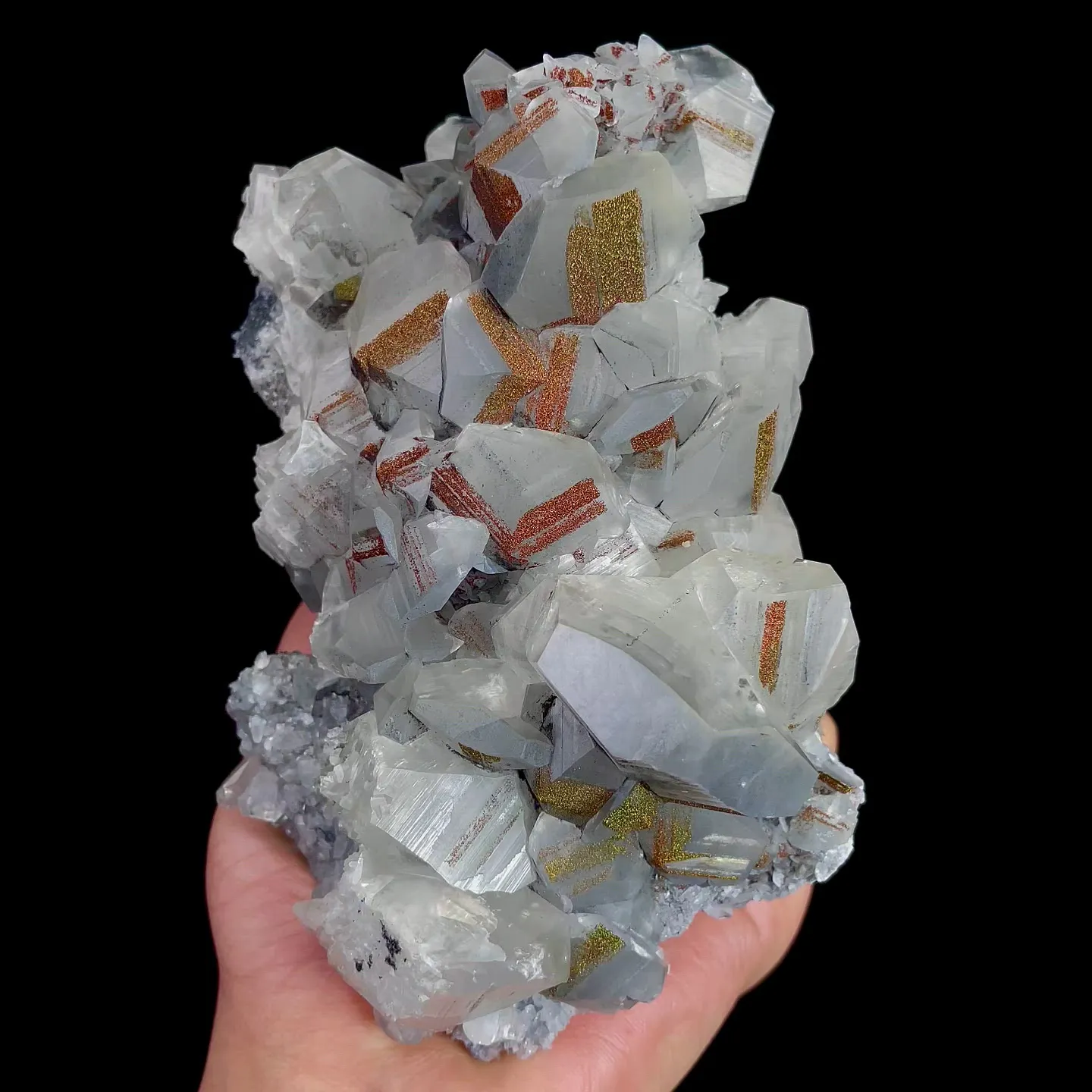 specimen video