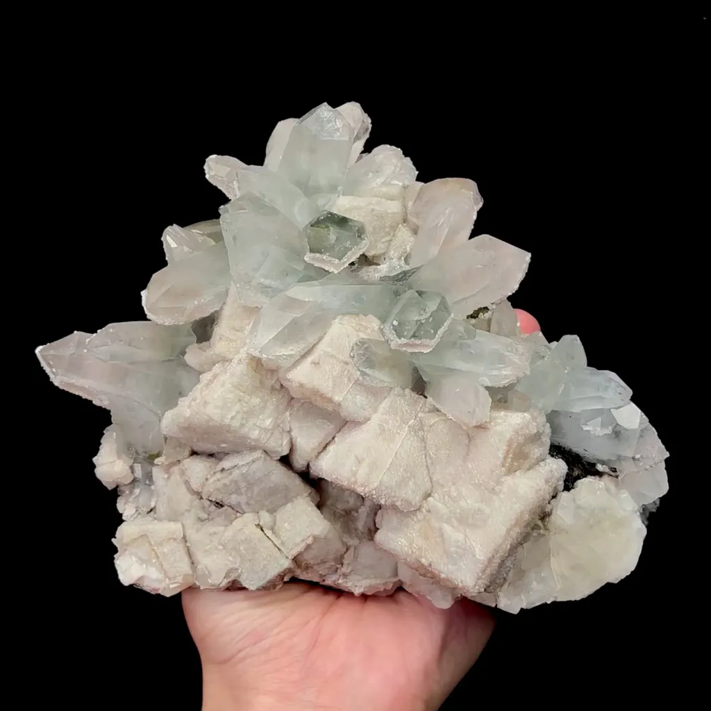 specimen video