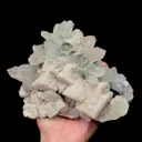 specimen video