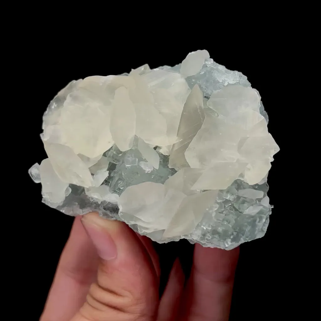 specimen video