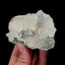 specimen video
