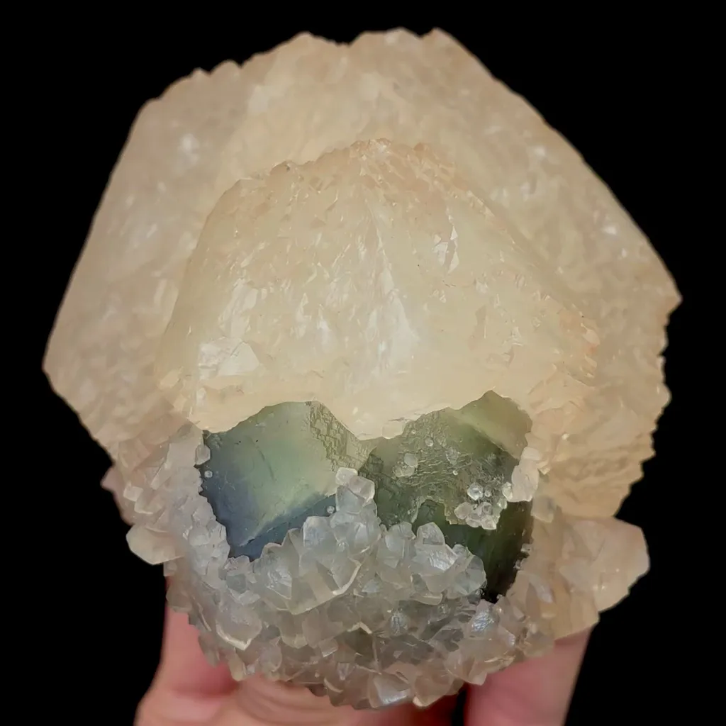 specimen video