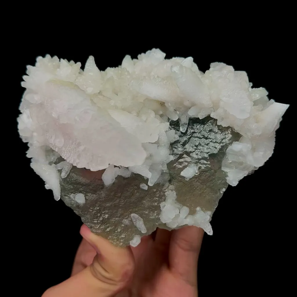 specimen video