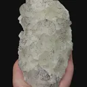 specimen video