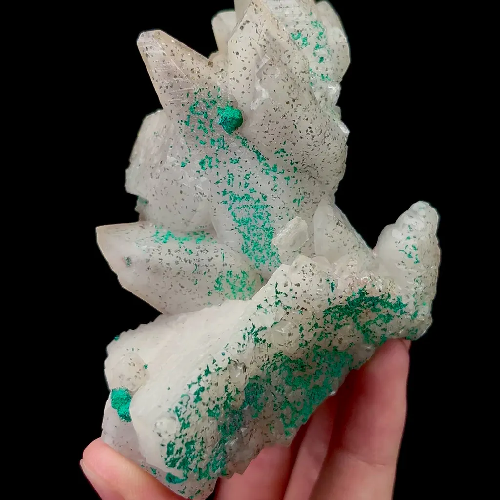 specimen video