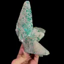 specimen video