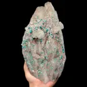 specimen video