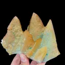 specimen video