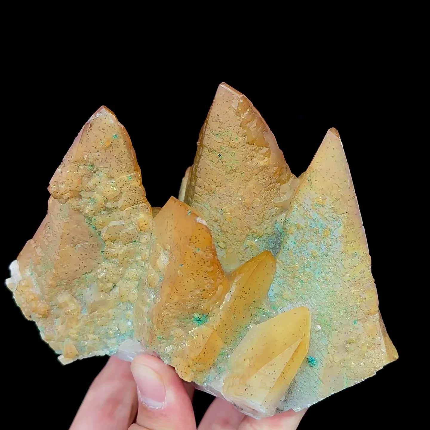 specimen video