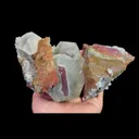 specimen video