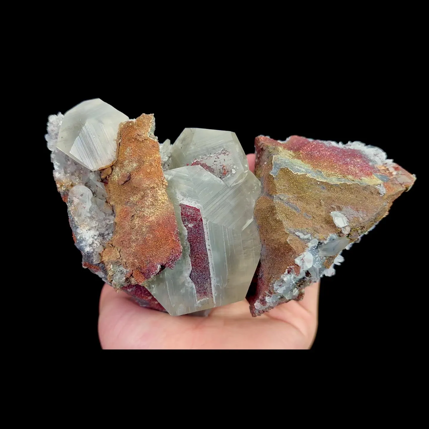specimen video