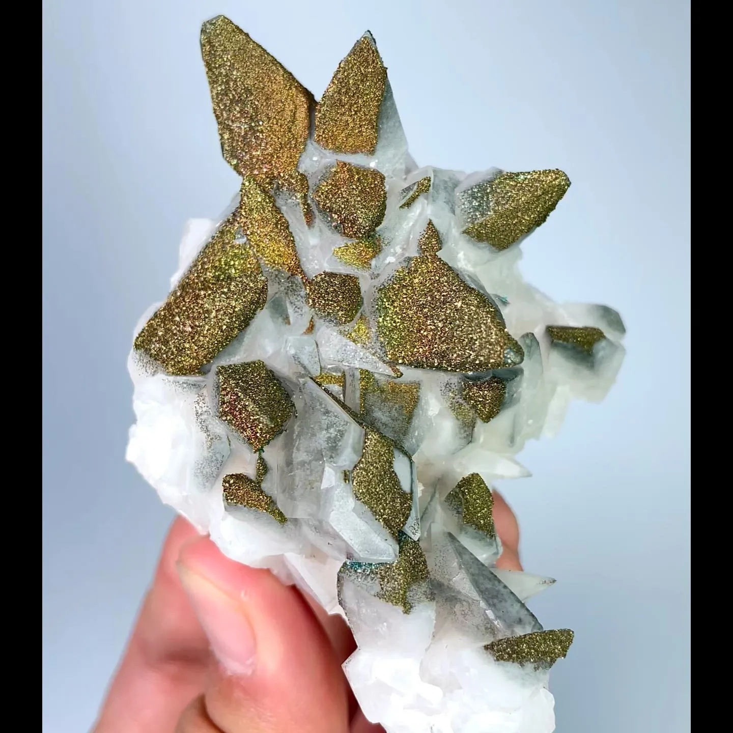 specimen video