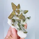Natural Calcite and Pyrite, Mineral Specimen:  Daye,Hubei （60*75*55MM） - image 4