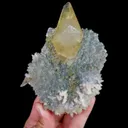 specimen video