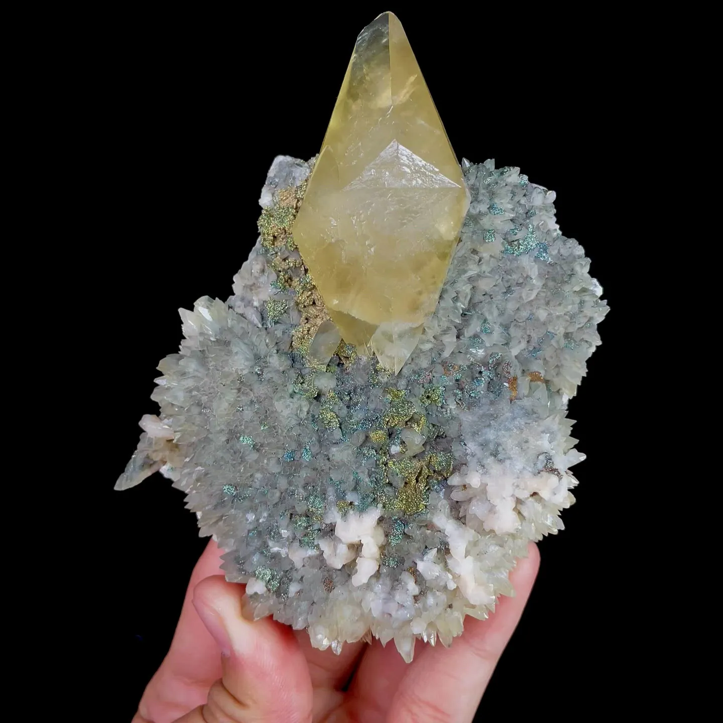 specimen video