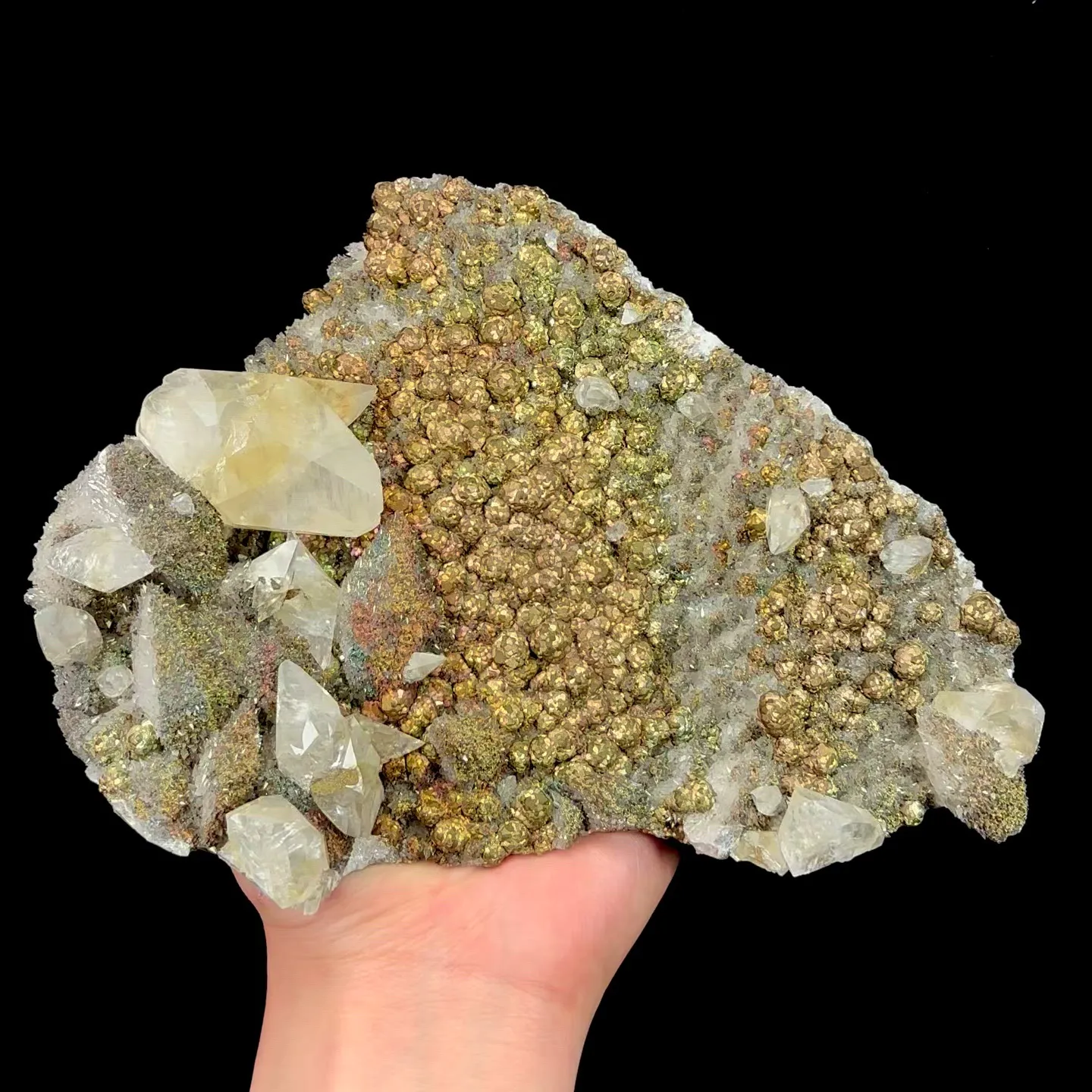 specimen video