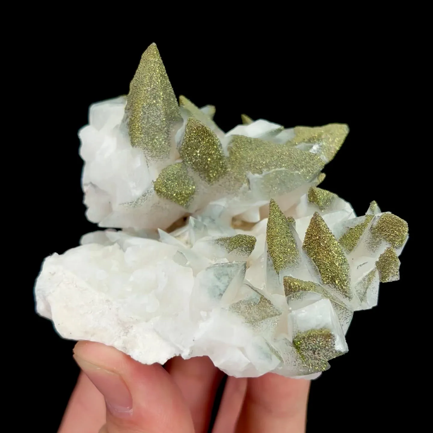 specimen video