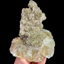 specimen video